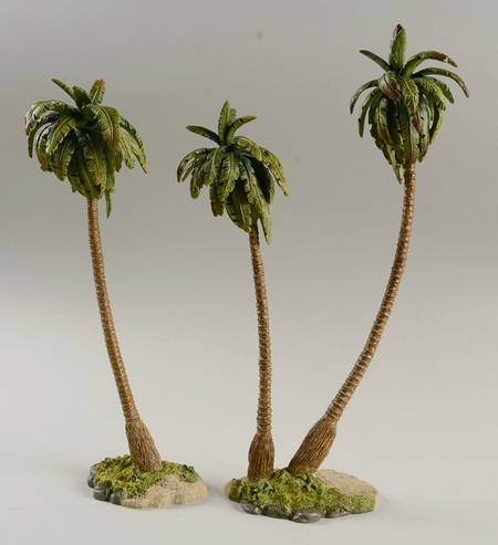 The Holy Land Palm Trees - Boxed