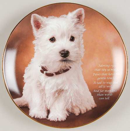 Beloved Westies Adoring Eyes - No Box