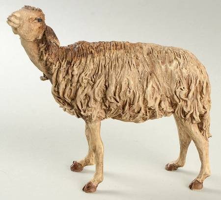 Neapolitan Nativity Sheep-Head Up - No Box