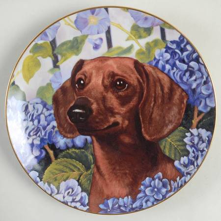 Dachshund Bright Eyes - No Box