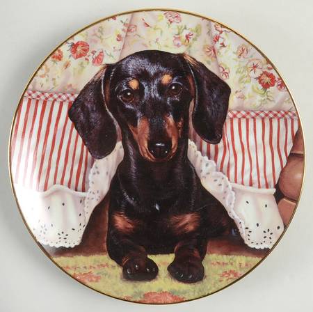 Dachshund Peek A Boo - No Box