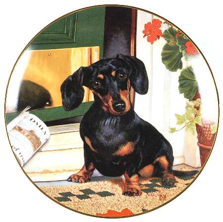 Dachshund Welcome Home - No Box