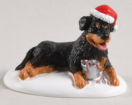 National Lampoon's Christmas Vacation The Perfect Gift For Snots - Boxed