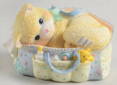 Calico Kittens Welcoming A Whole New Bag Of Tricks - Boxed