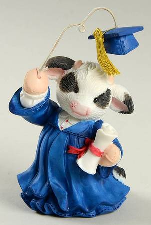 Mary's Moo Moos Cowgraduations - Boxed