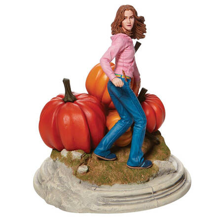Harry Potter Hermione - Year 3 - Boxed