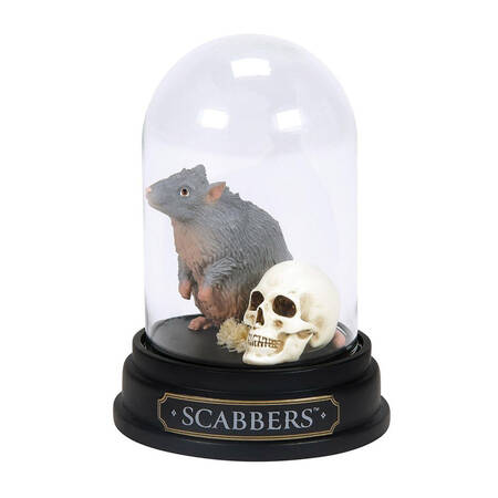 Harry Potter Scabbers Curiosity Cloche - Boxed