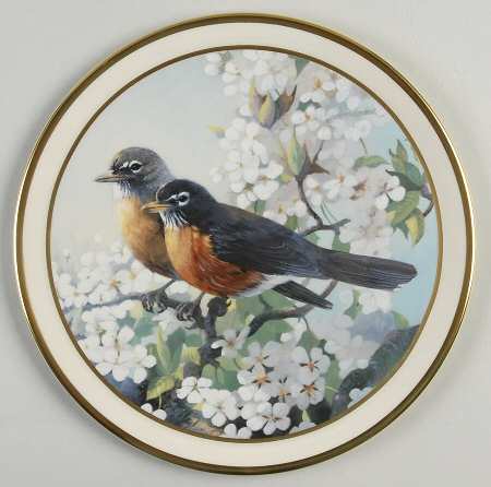 The Seasons Spring Robins - Boxed