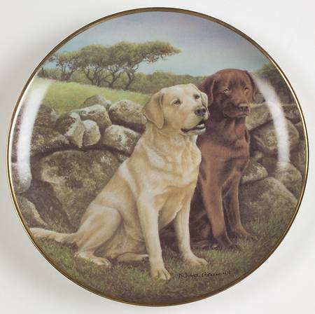 Labradors-Nigel Hemming Trusted Companions - No Box