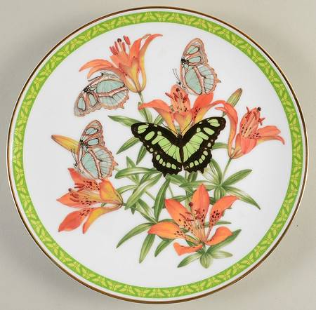 Butterflies of World Malachite - No Box