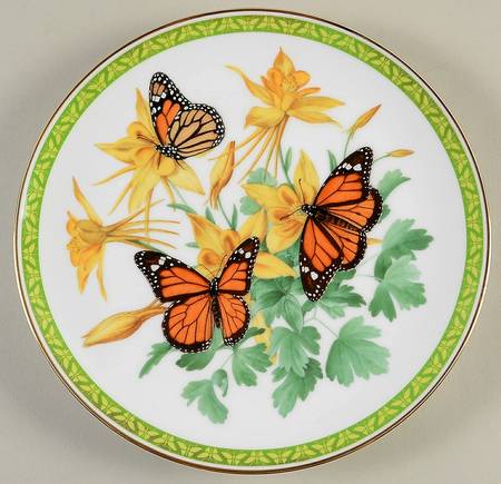 Butterflies of World Monarch - No Box