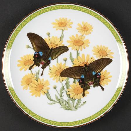 Butterflies of World Blue-Banded Peacock - No Box