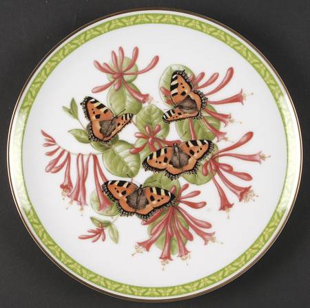 Butterflies of World Small Tortoiseshell - No Box