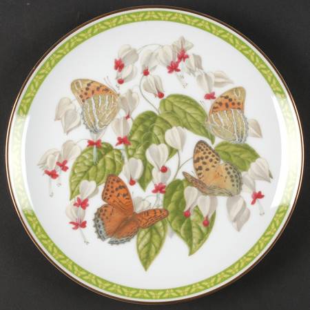 Butterflies of World Childrena Fritillary - No Box