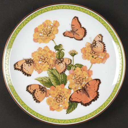 Butterflies of World Gaudy Commodore - No Box