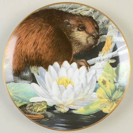 Country Diary Beaver - No Box