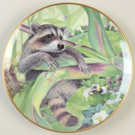 Country Diary Raccoon - No Box