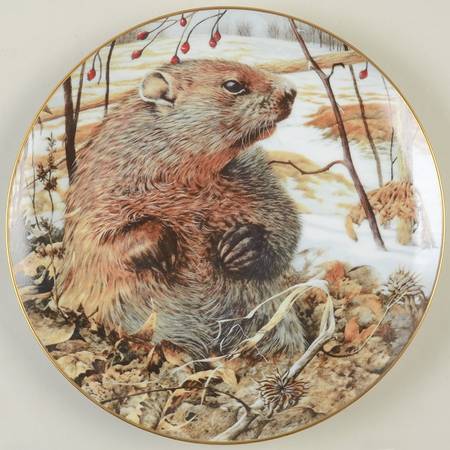 Country Diary Woodchuck - No Box