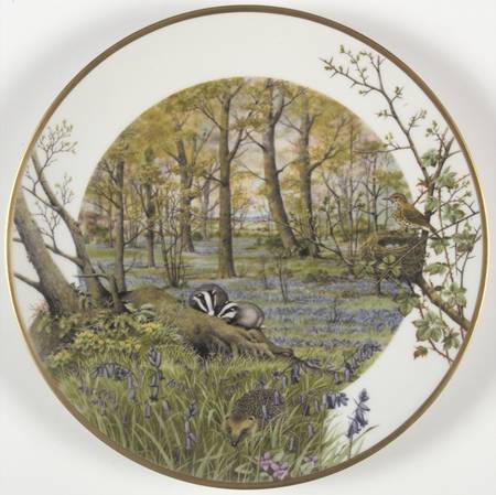 Country Year Woodlands In April - Boxed
