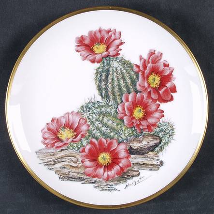 Flowers of The American Wilderness Southwest - Boxed