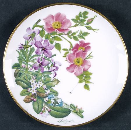 Flowers of The American Wilderness Cape Cod - Boxed