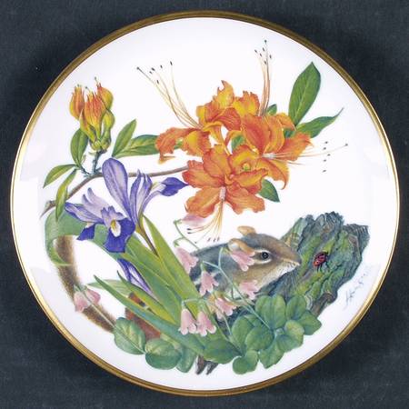 Flowers of The American Wilderness Appalachian Mountains - Boxed