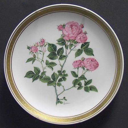 International Gallery Flowers Roses - No Box