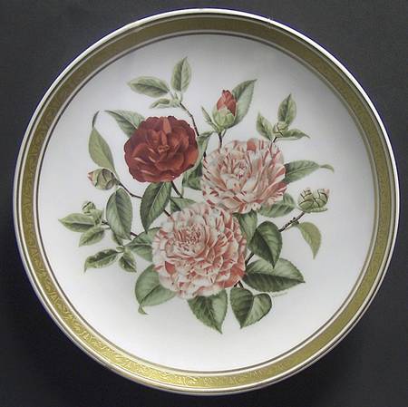 International Gallery Flowers Camellias - No Box