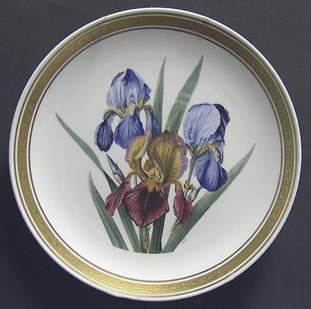 International Gallery Flowers Irises - No Box