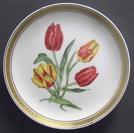 International Gallery Flowers Tulips - No Box