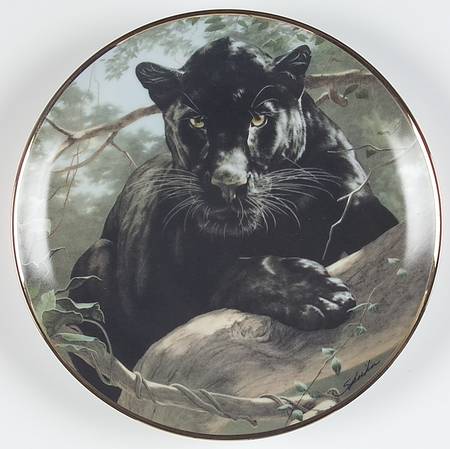 National Wildlife Federation Silent Watch - No Box