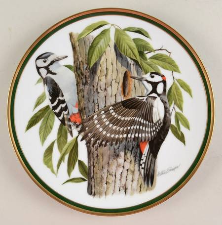 Woodland Birds Of The World Great Spotted Woodpecker  - No Box