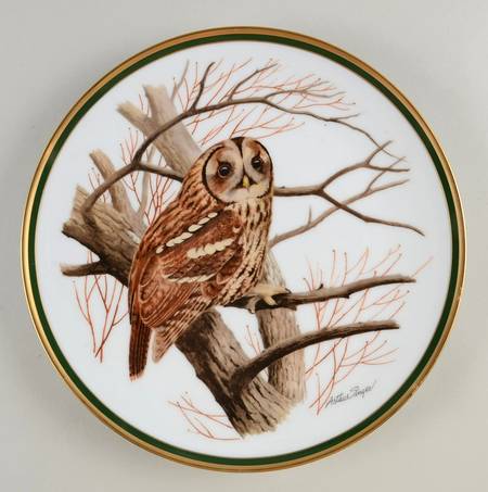 Woodland Birds Of The World Tawny Owl - No Box