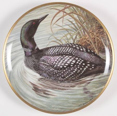 Water Birds of the World Great Northern Diver - No Box