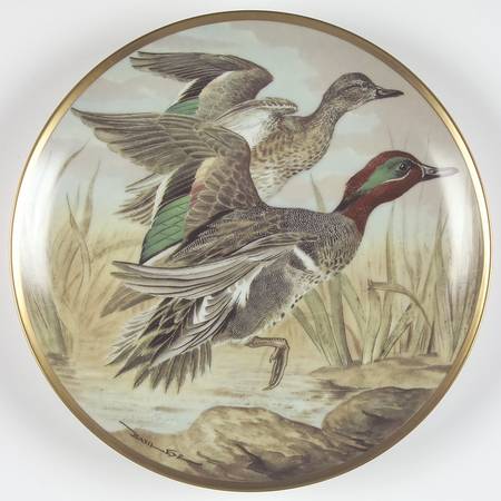 Water Birds of the World Green-Winged Teal-Ana Crecca Carolinensi - No Box