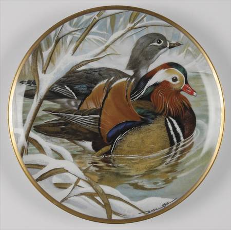 Water Birds of the World Mandarin Duck-Aix Galericulata - No Box