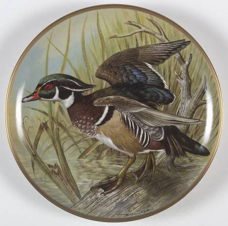 Water Birds of the World Wood Duck - No Box