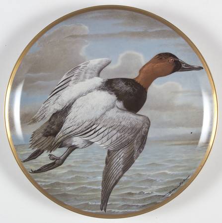 Water Birds of the World Canvasback-Aythya Valisineria - No Box