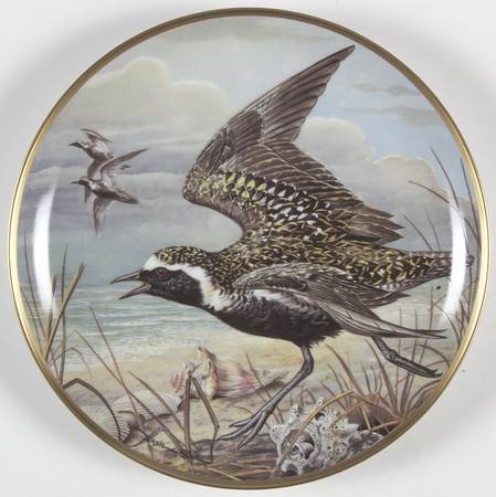 Water Birds of the World American Golden Plover - No Box