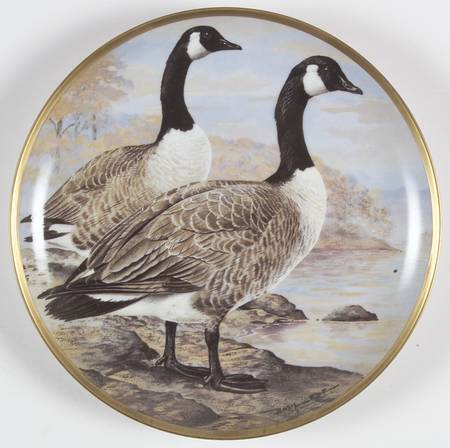 Water Birds of the World Canada Goose - No Box