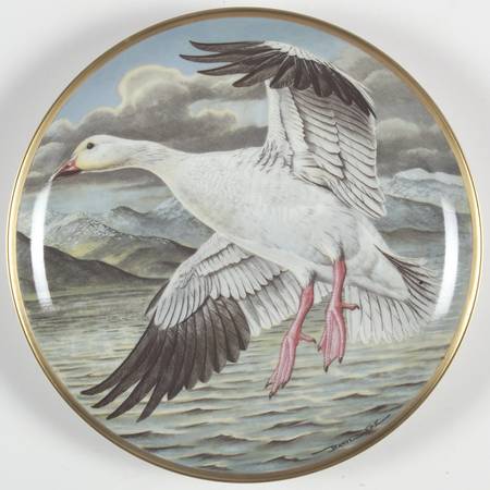 Water Birds of the World Snow Goose-Anser Caerulescens - No Box