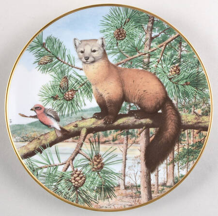 Woodland Year November-Marten - No Box