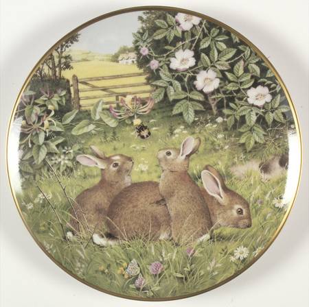 Woodland Year July-Rabbits In A Field - No Box