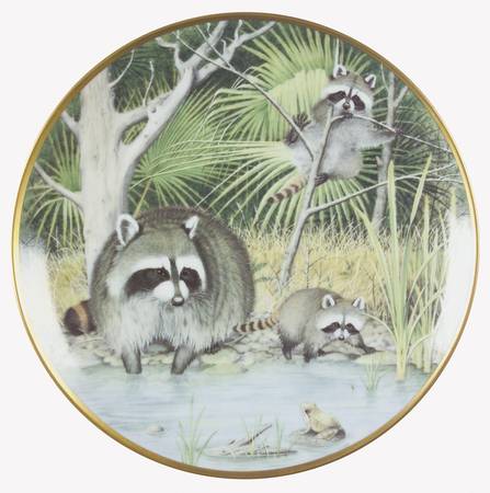 Woodland Year April-Raccoon - No Box