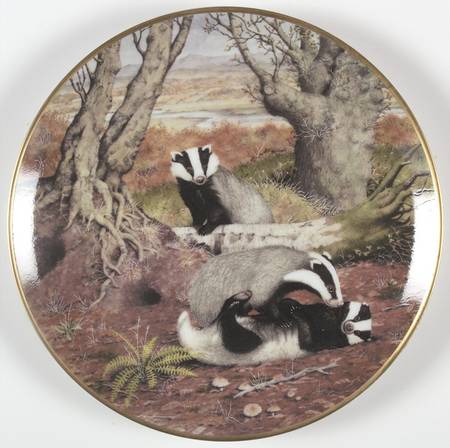 Woodland Year October-Badger - No Box