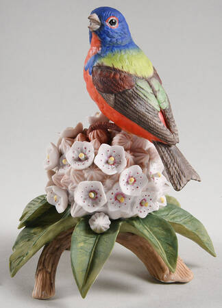 Royal Society for the Protection of Birds Painted Bunting - No Box