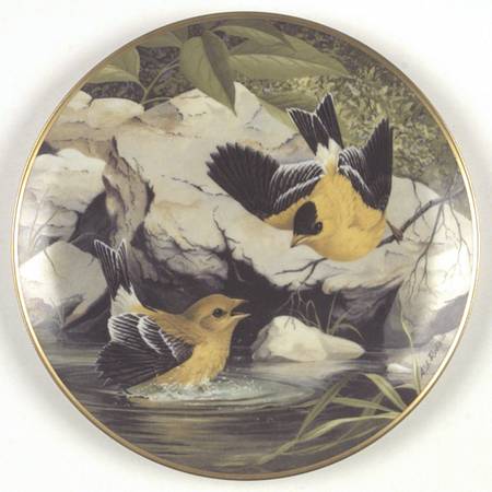 Birds of The Country Goldfinch-Bathing In The Pond - No Box
