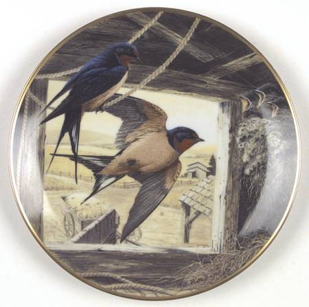 Birds of The Country Barn Swallow-Returning Home - No Box