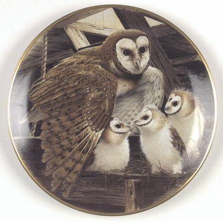 Birds of The Country Barn Owl-Embracing Chicks - No Box