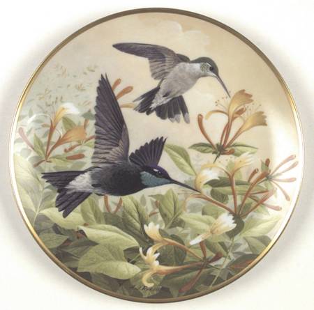 Birds of The Country Rivoli's Hummingbird-Drinking Nectar - No Box